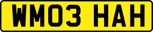 WM03HAH