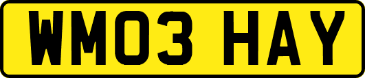 WM03HAY