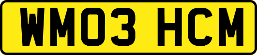 WM03HCM