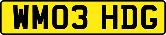 WM03HDG