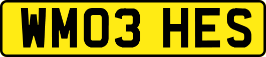 WM03HES