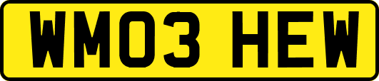 WM03HEW