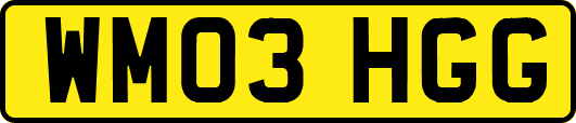 WM03HGG