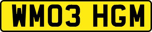 WM03HGM