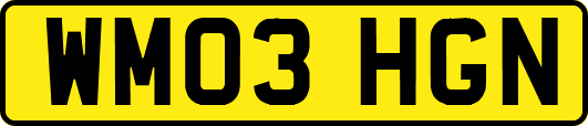 WM03HGN