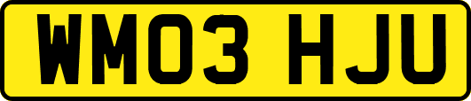 WM03HJU