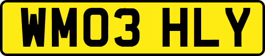 WM03HLY