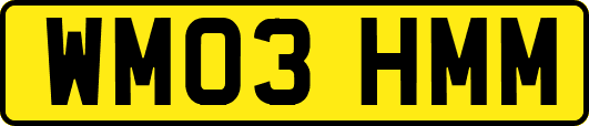 WM03HMM