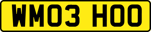 WM03HOO