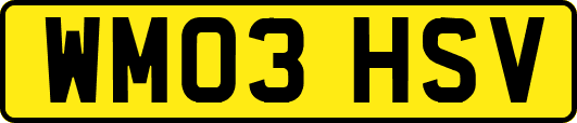 WM03HSV