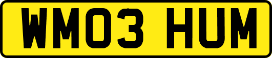 WM03HUM