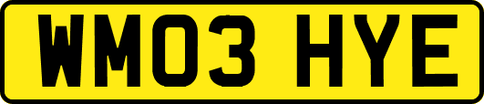 WM03HYE