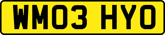 WM03HYO