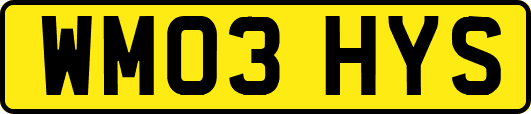 WM03HYS