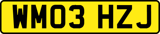 WM03HZJ