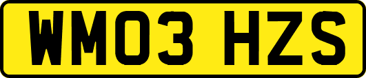 WM03HZS