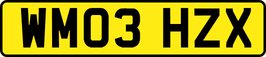WM03HZX