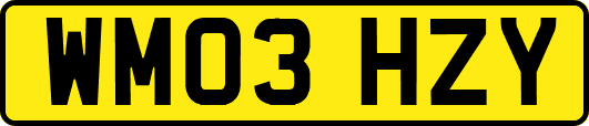 WM03HZY