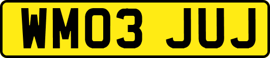 WM03JUJ