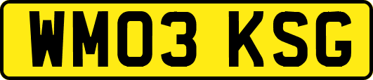 WM03KSG