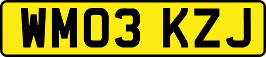 WM03KZJ