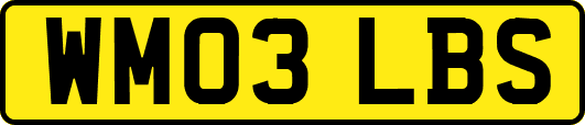 WM03LBS