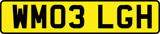 WM03LGH