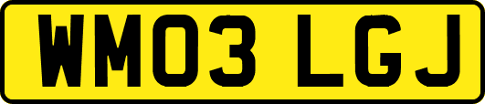 WM03LGJ