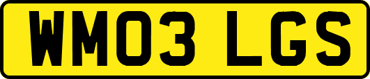 WM03LGS