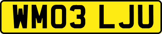 WM03LJU