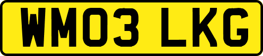 WM03LKG