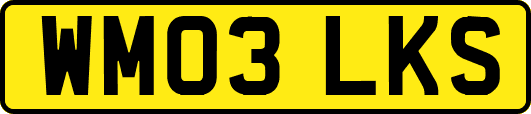 WM03LKS