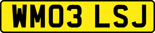 WM03LSJ