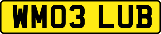 WM03LUB