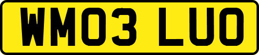 WM03LUO
