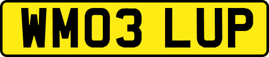 WM03LUP