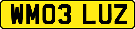 WM03LUZ