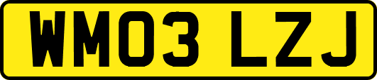 WM03LZJ
