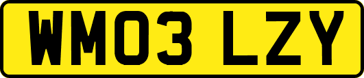 WM03LZY
