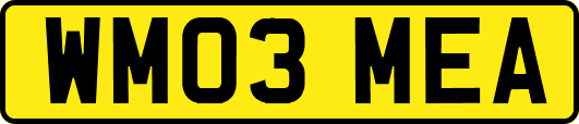 WM03MEA