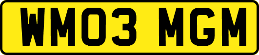 WM03MGM