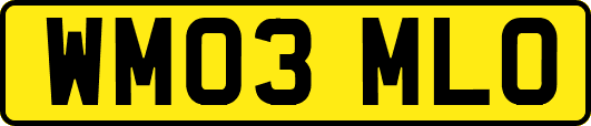 WM03MLO