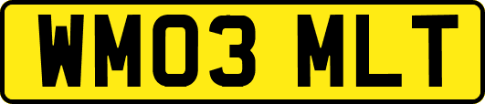 WM03MLT