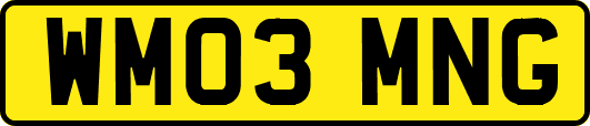WM03MNG