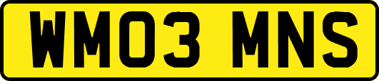 WM03MNS