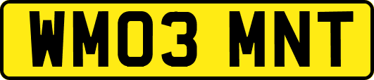 WM03MNT