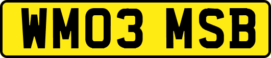 WM03MSB