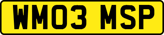 WM03MSP