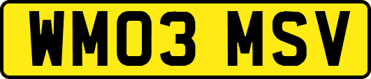 WM03MSV