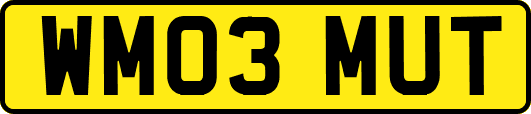 WM03MUT